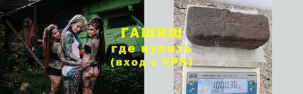 стафф Касимов