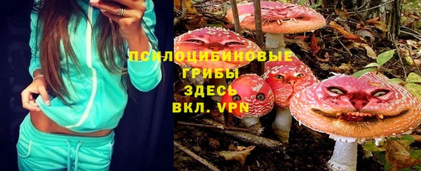 стафф Касимов