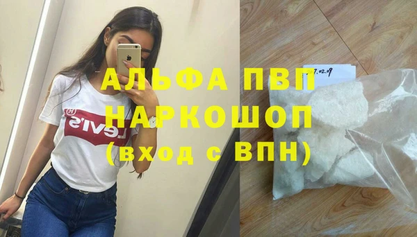 стафф Касимов
